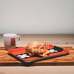 Hostel Via Amsterdam